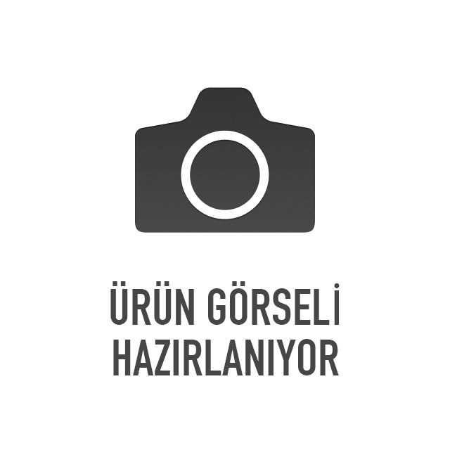 Hidcote İngiliz Lavantası Fidanı