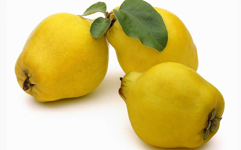 Limon Ayva Fidanı