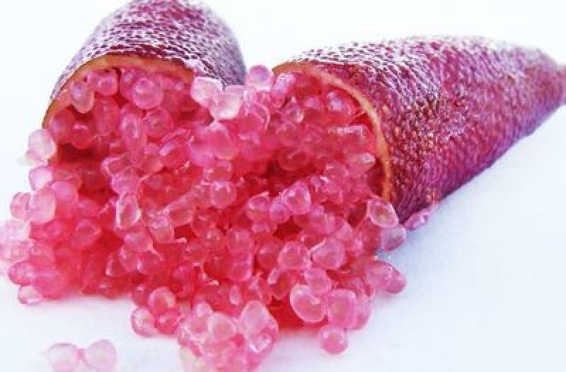Red Şampanya Finger Lime Fidanı