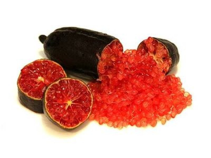 Kırmızı Byron Sunrise Finger Lime Fidanı
