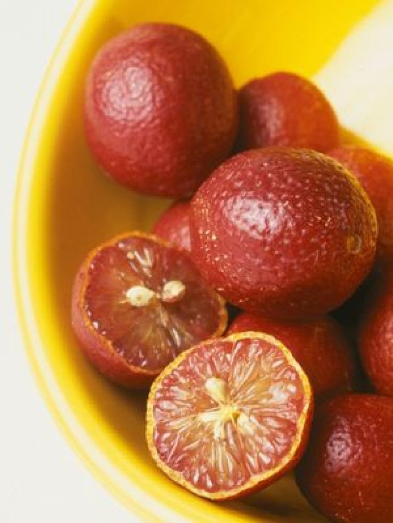 Blood Kırmızı Lime Fidanı