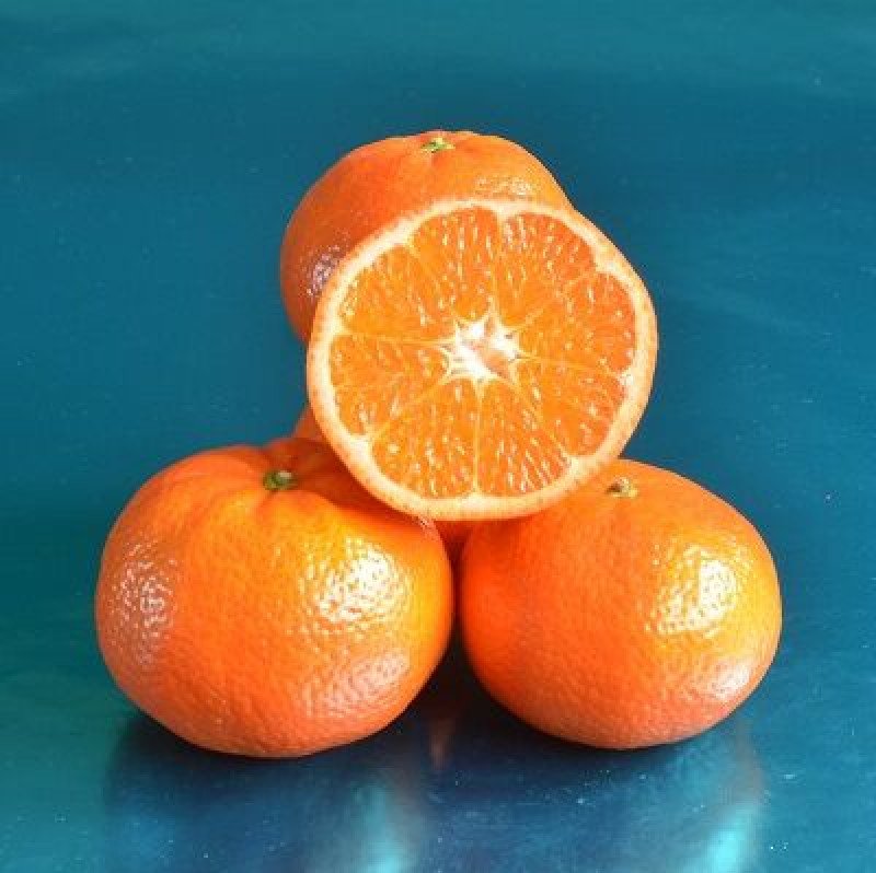 Murgold Mandalina Fidanı