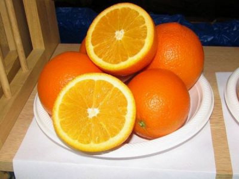 Washington Spring Navel Portakal Fidanı